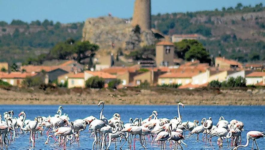 Апартаменты La Mouette Qui Miaule Груиссан Экстерьер фото